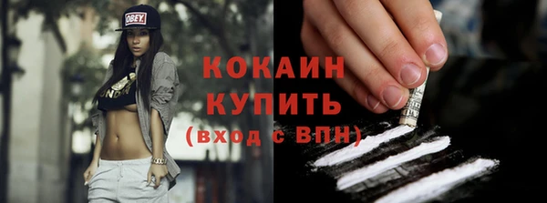 твердый Осинники